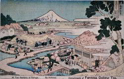 Oolong Image 250