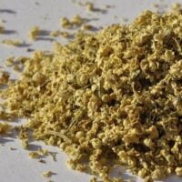 Buy loose leaf teas online - Elderflower loose tea