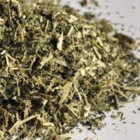 Buy loose leaf teas online - Nettle Loose Leaf