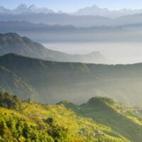 Ceylon teas